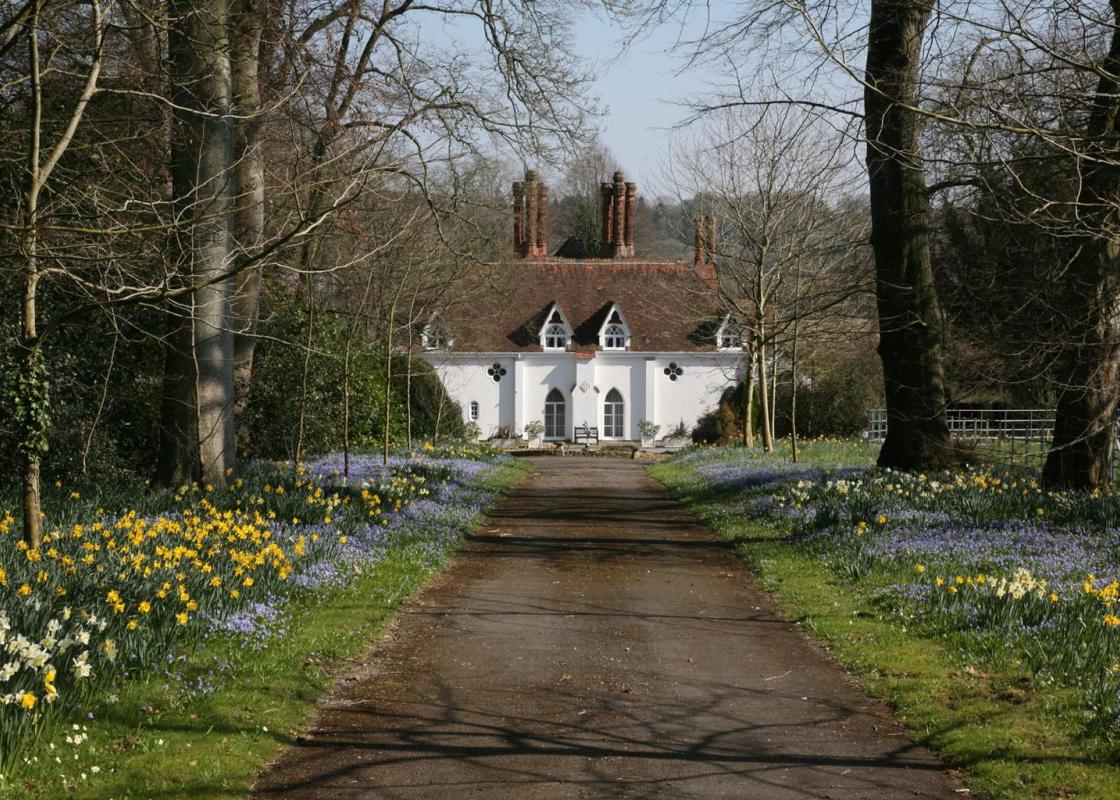Image 1