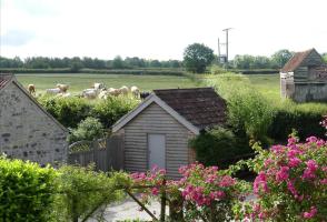 Image 1