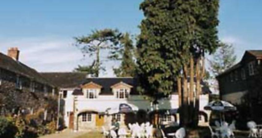 First Image