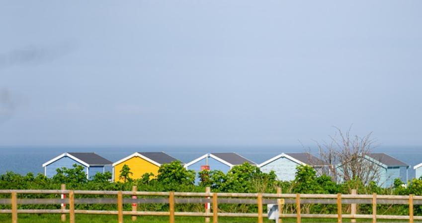 Image 15