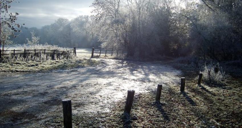 Second Image