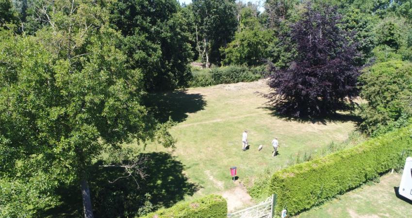 Second Image