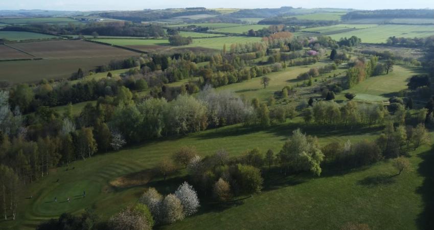 Image 12