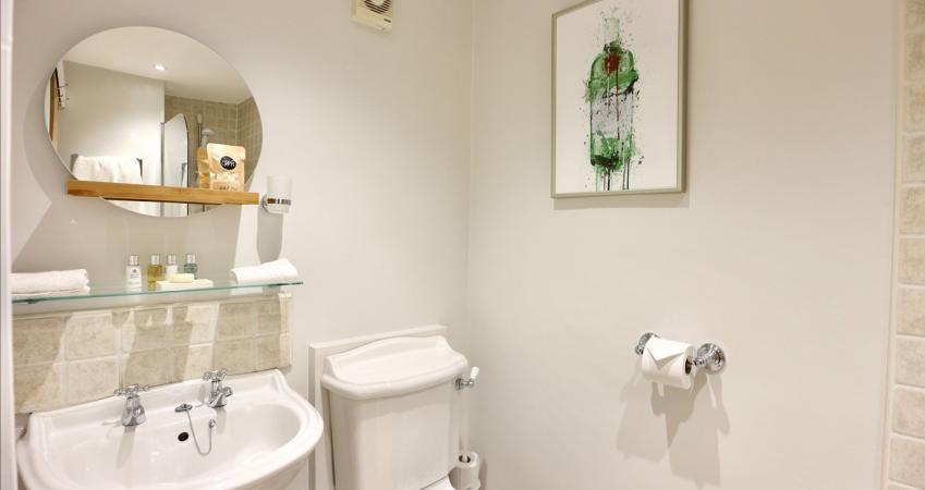Image 21