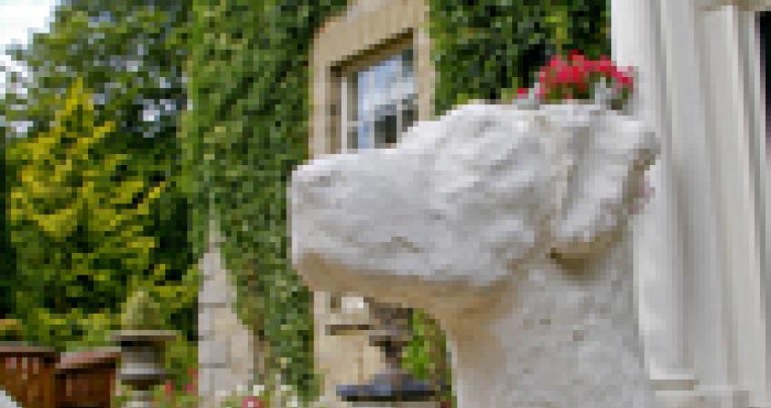 Image 14