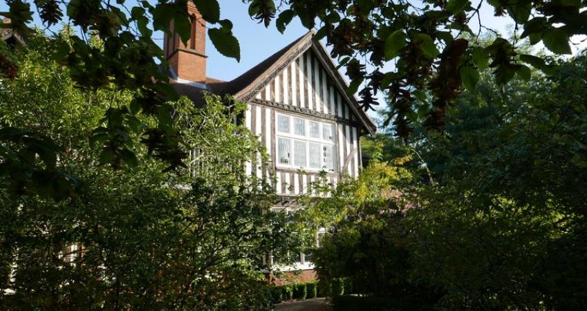Image 7
