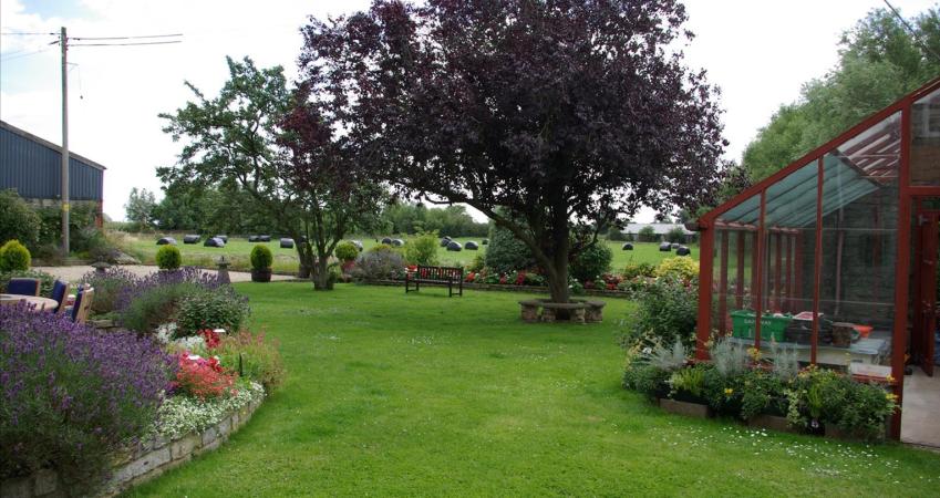 Image 15
