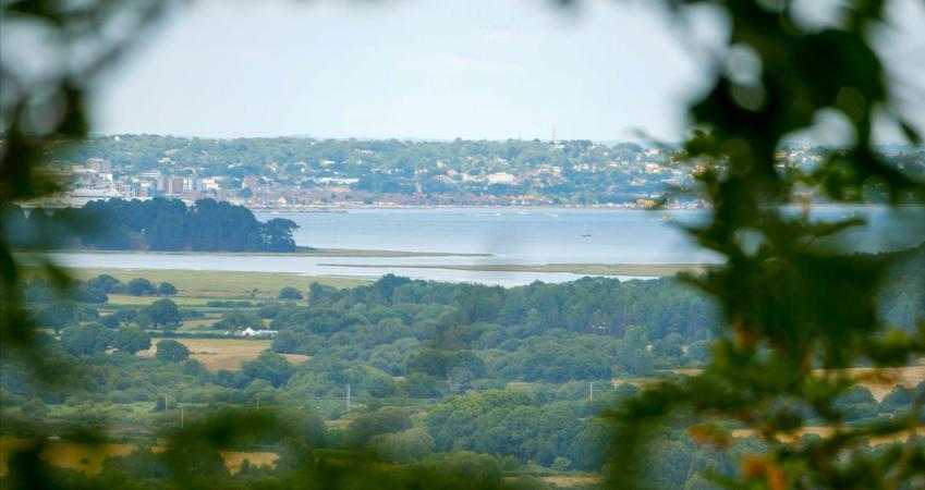 Image 12