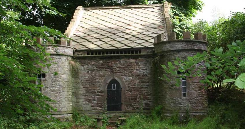 Image 4