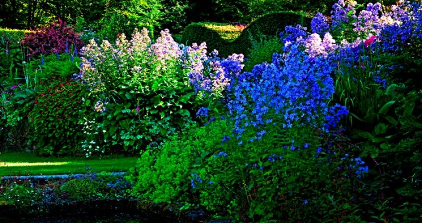 Second Image