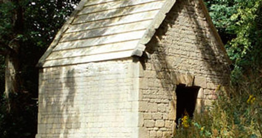 First Image