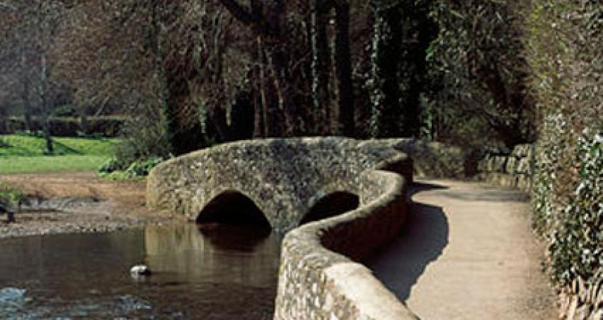 First Image