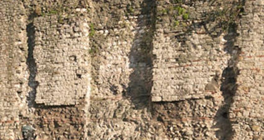 First Image
