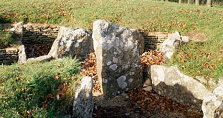First Image