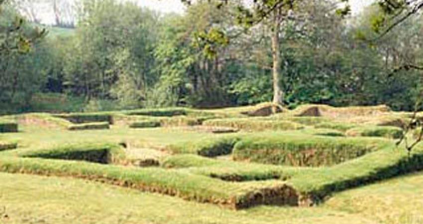 First Image