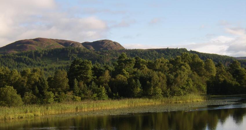 Second Image