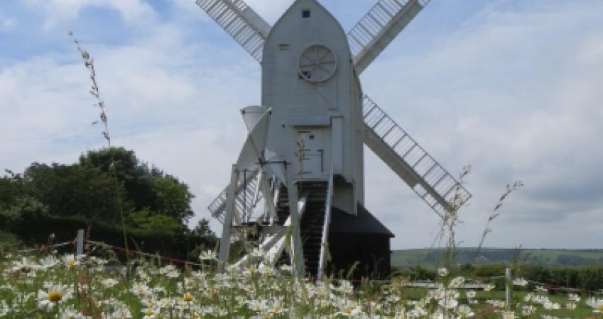 Second Image