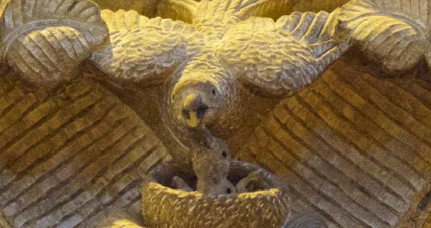 Second Image