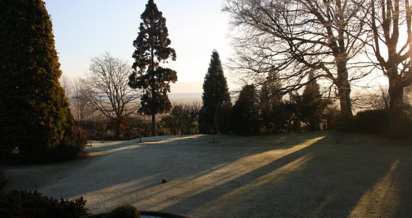 Second Image