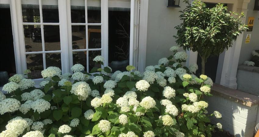 Image 12