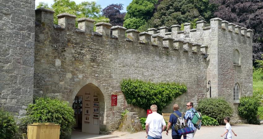 Image 12