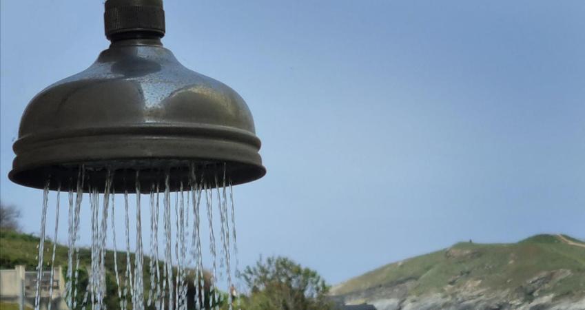 Image 15