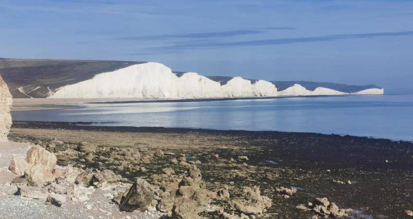 Second Image