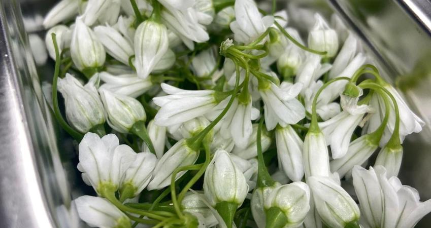 Image 14