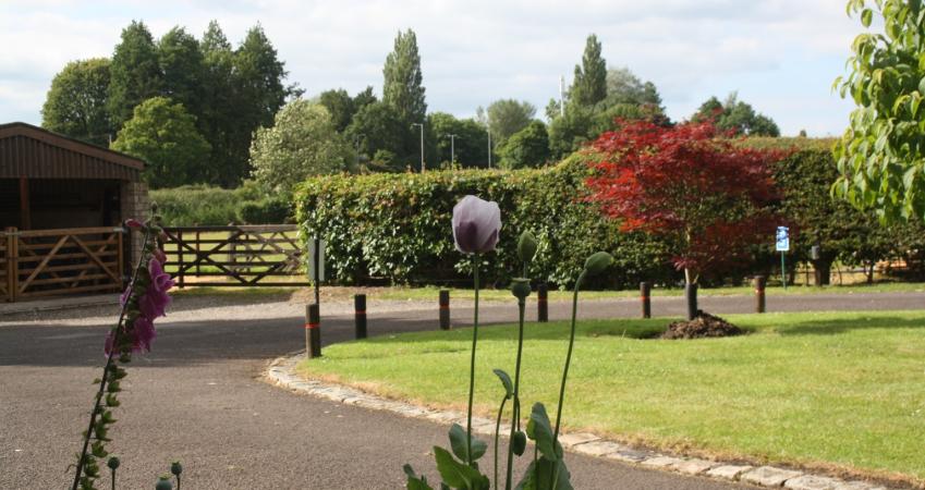 Image 14
