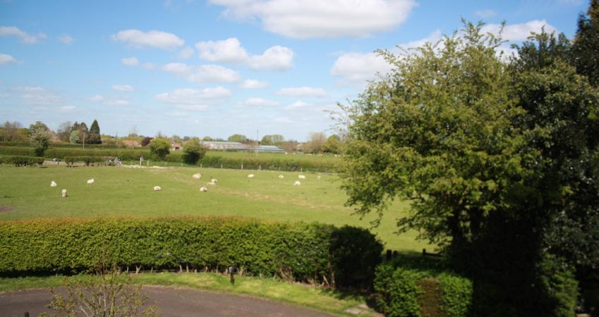 Image 16