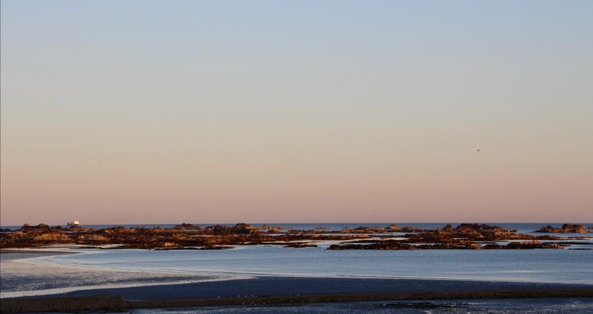 Image 17
