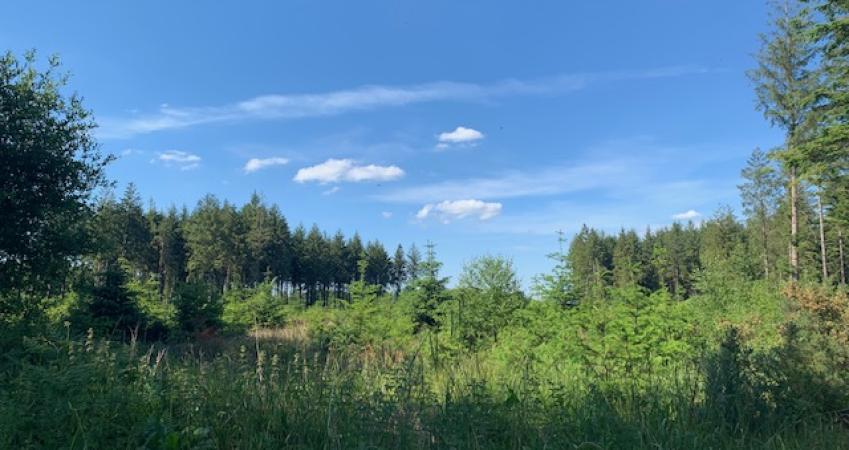 Image 20