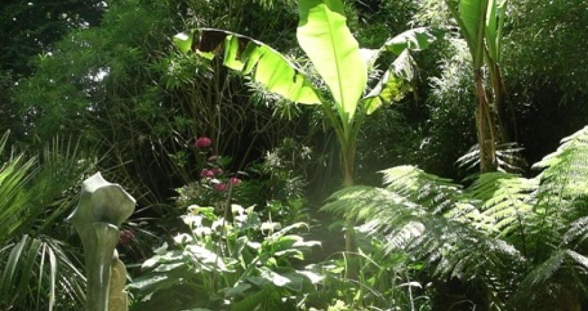 Second Image