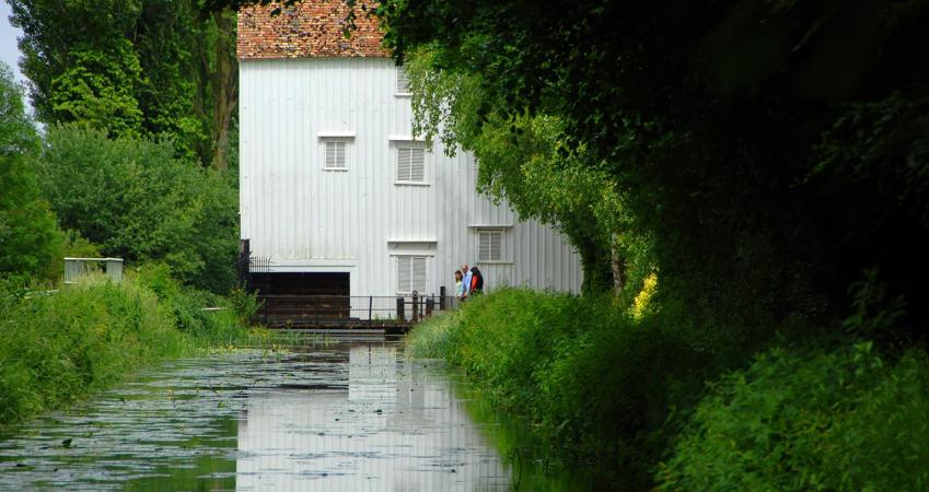 Second Image