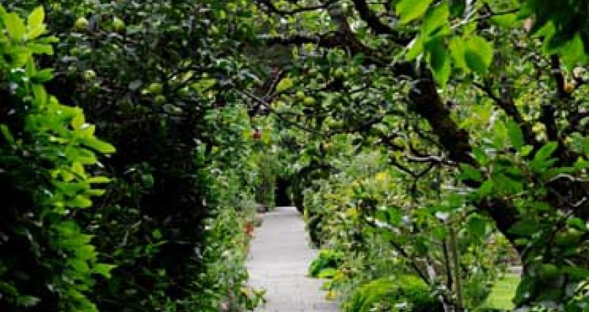 Second Image