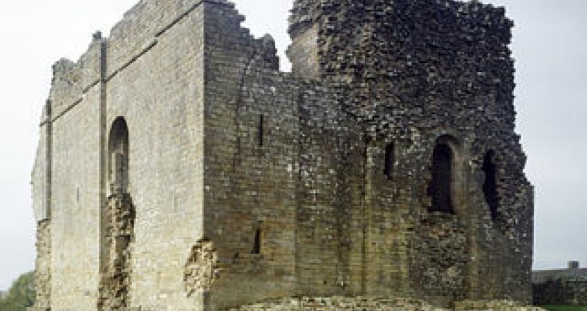 First Image