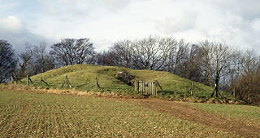 First Image