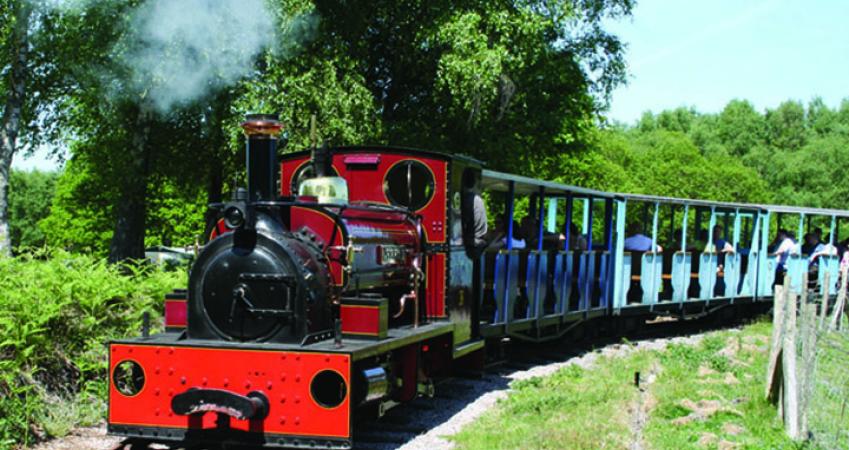 First Image