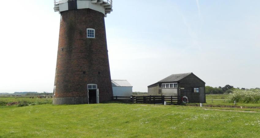 Second Image