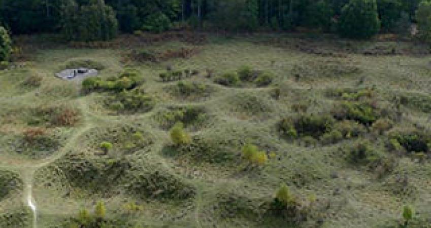 First Image
