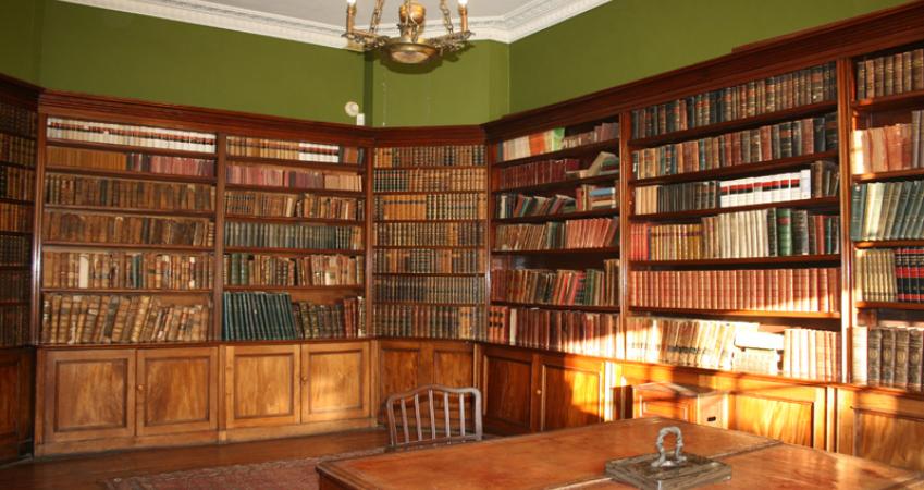 Image 3