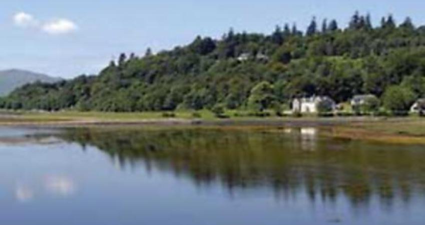 Second Image