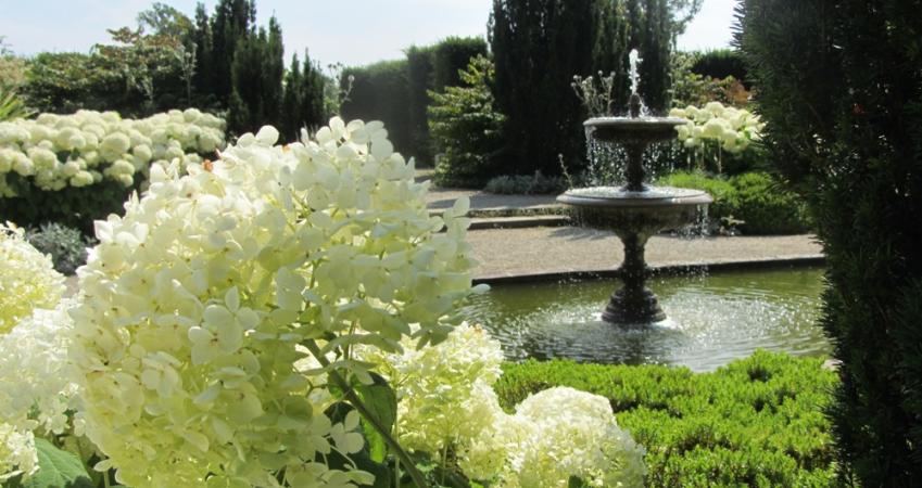 Second Image