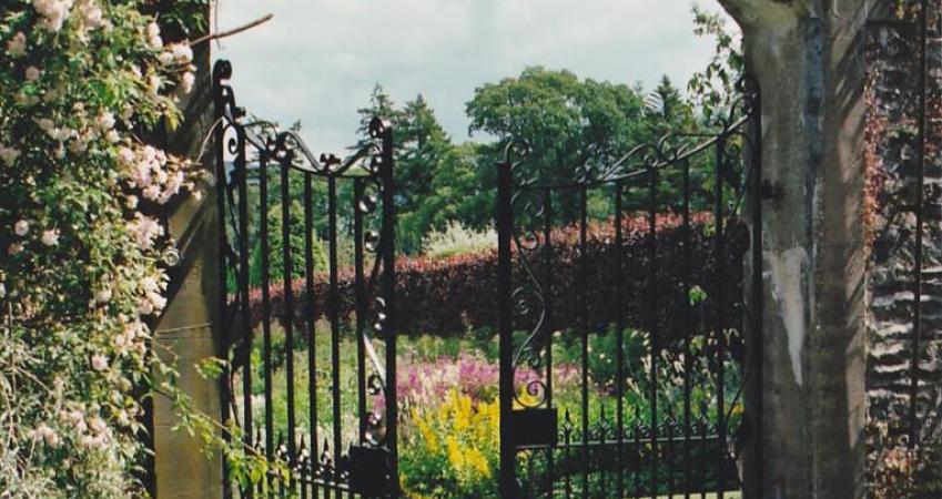Second Image