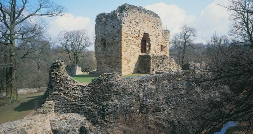 First Image