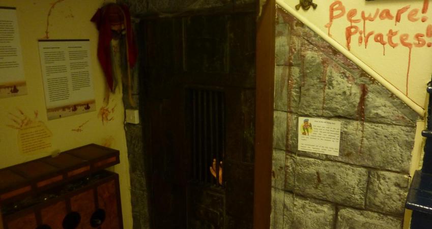 Image 5
