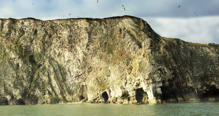 Image 15