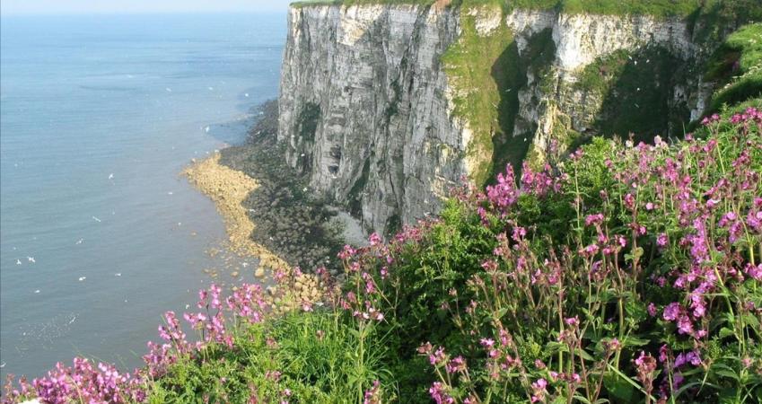 Image 14