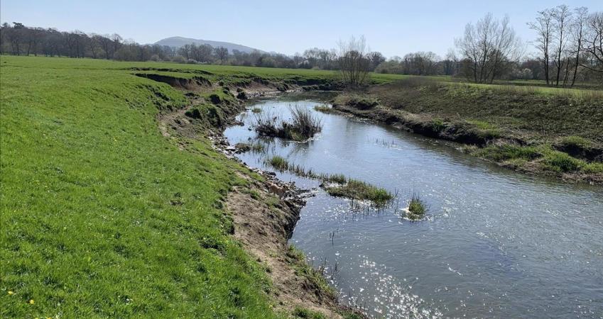 Image 15
