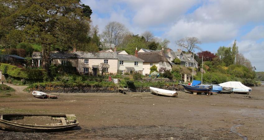 Image 16